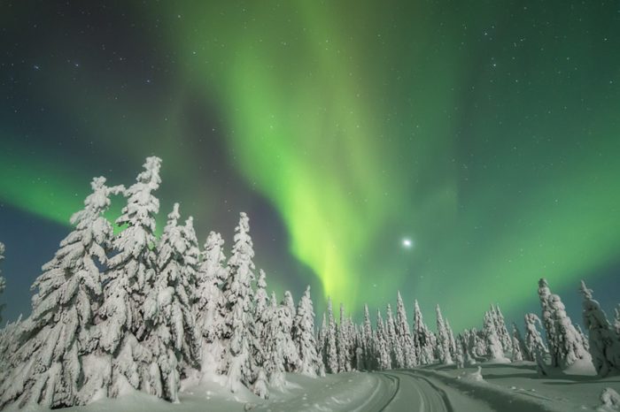 Trip to Lapland: 22-11-2022